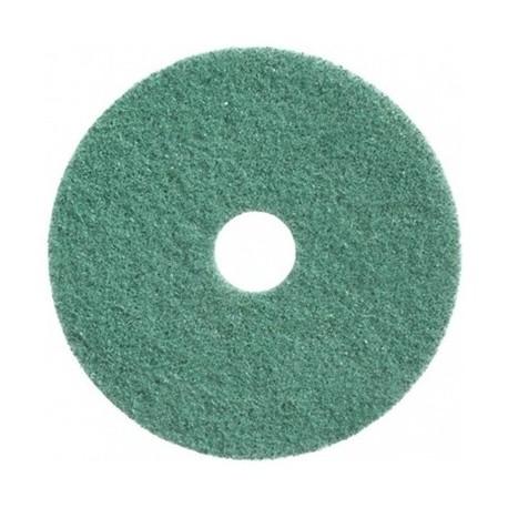 DISQUE VERT A L'EAU ETAPE 4 ET 5 505MM (20") R.211706 X2