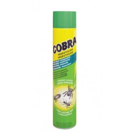 AEROSOL INSECTICIDE RAMPANTS R.FR01 750ML