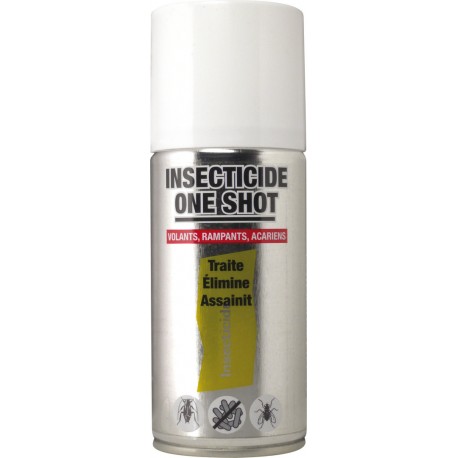 AEROSOL INSECTICIDE ONE SHOT EN 12X125ML R.IN08H/GSENW