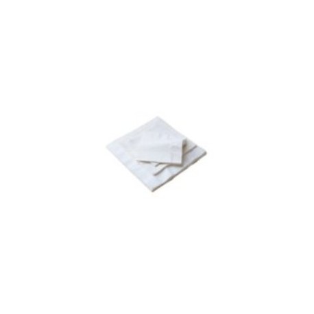 SERVIETTE PAPIER BLANCHE 2P 30X30 R.101481 X3200